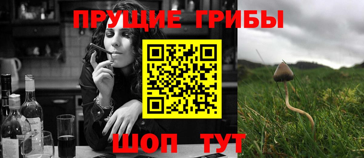 Галлюциногенные грибы Magic Shrooms Владимир